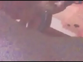 Mamando verga a brasileño interracial gay